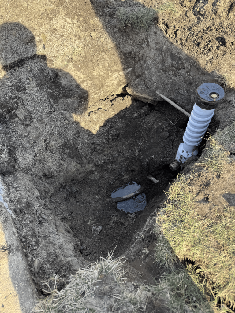 D920F8DE-D1F3-4C8B-9E34-4C45557E9987